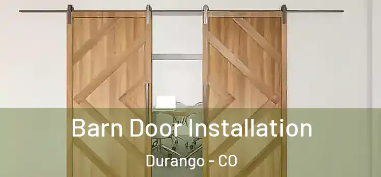  Barn Door Installation Durango - CO