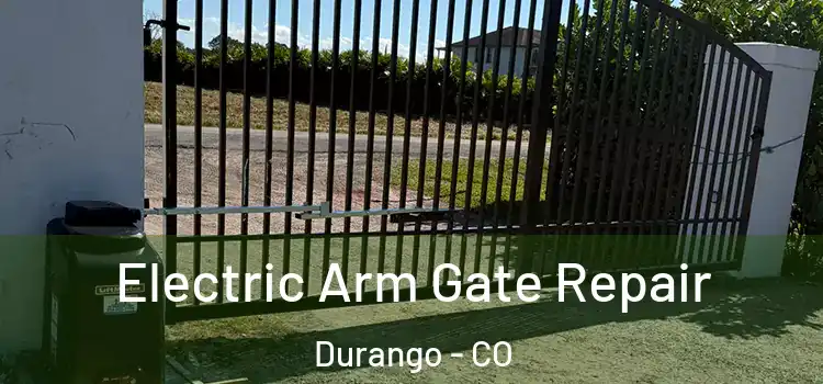  Electric Arm Gate Repair Durango - CO
