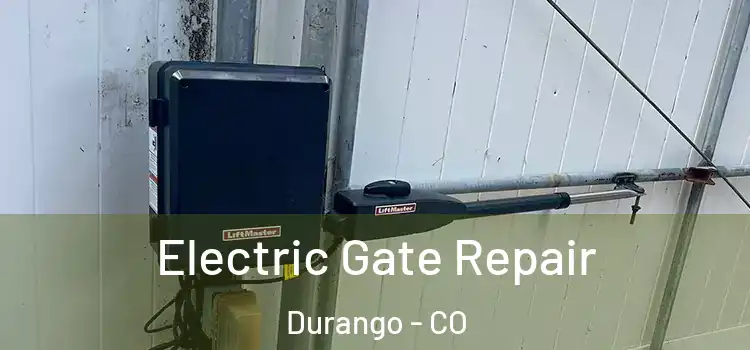  Electric Gate Repair Durango - CO
