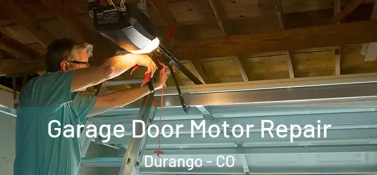  Garage Door Motor Repair Durango - CO