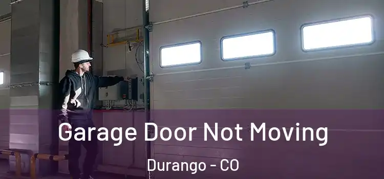  Garage Door Not Moving Durango - CO