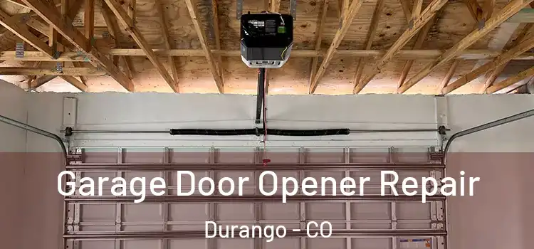  Garage Door Opener Repair Durango - CO