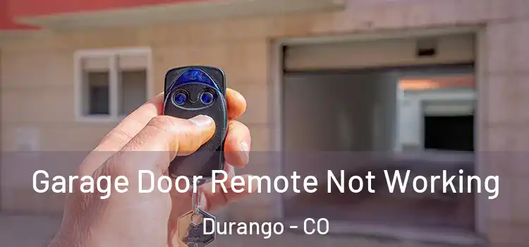  Garage Door Remote Not Working Durango - CO