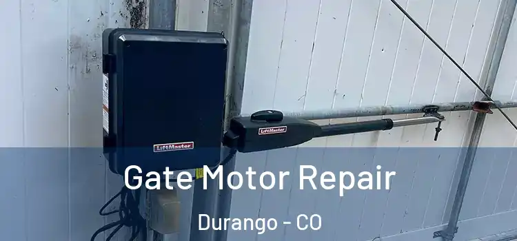 Gate Motor Repair Durango - CO
