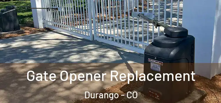  Gate Opener Replacement Durango - CO
