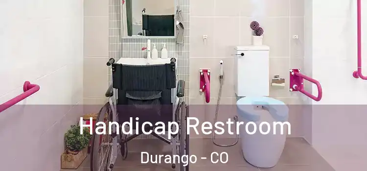  Handicap Restroom Durango - CO