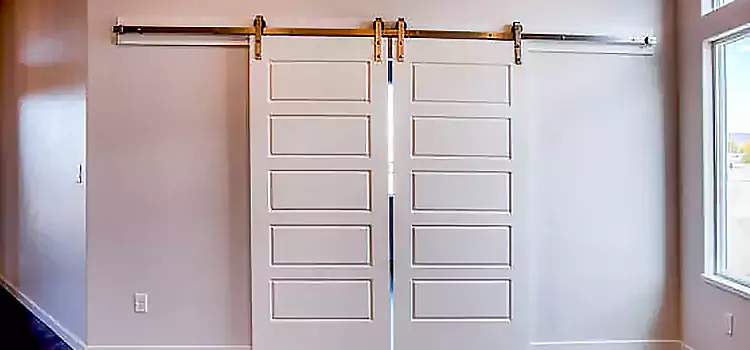 Glass Barn Door with Installation Hardware Kit Durango