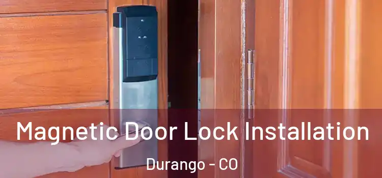  Magnetic Door Lock Installation Durango - CO