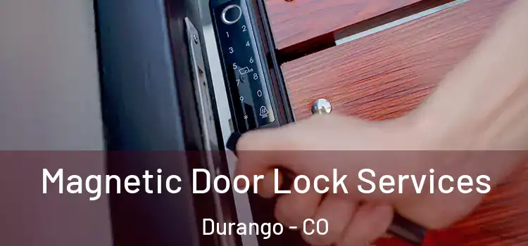  Magnetic Door Lock Services Durango - CO