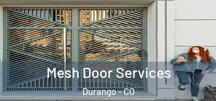  Mesh Door Services Durango - CO