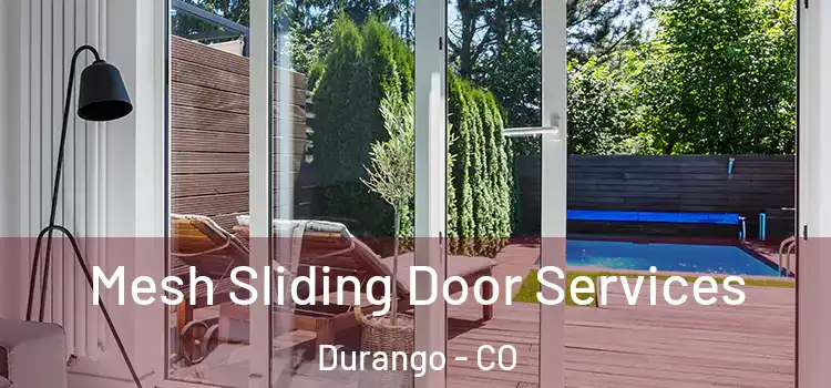  Mesh Sliding Door Services Durango - CO