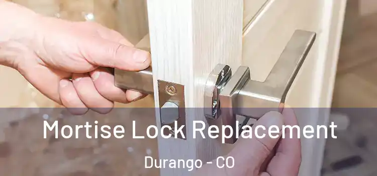  Mortise Lock Replacement Durango - CO