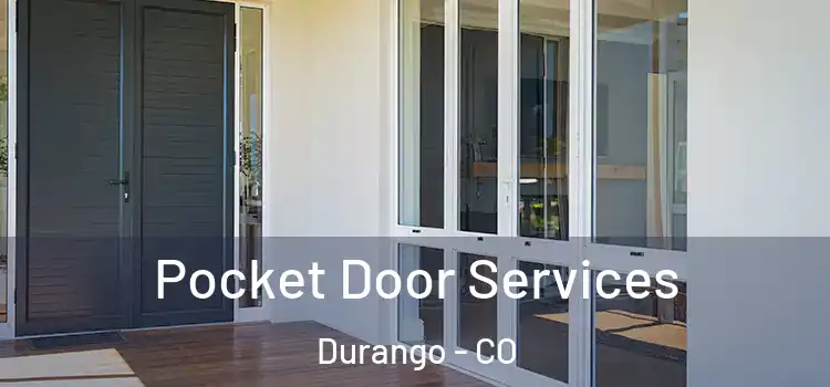 Pocket Door Services Durango - CO