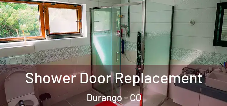  Shower Door Replacement Durango - CO