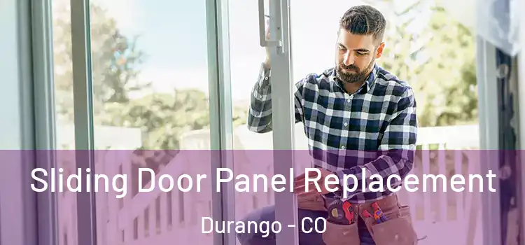  Sliding Door Panel Replacement Durango - CO